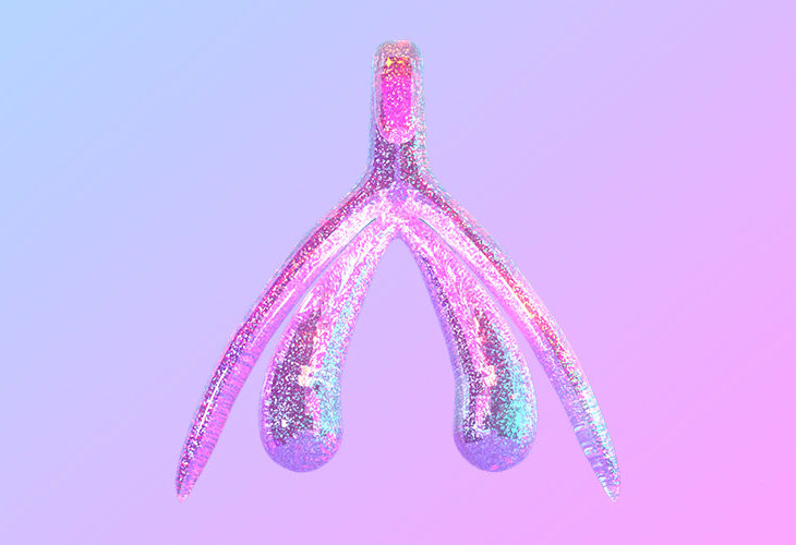 3D model of clitoris