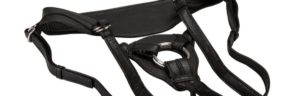 Strap on harness