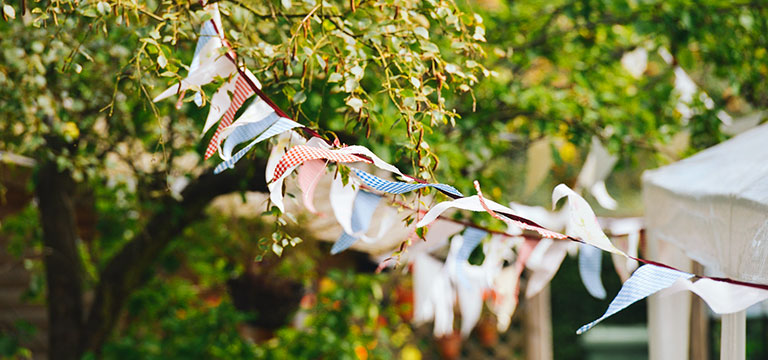 Bunting flutters in the breeze at a backyard bbq. Finding the Clitoris isn