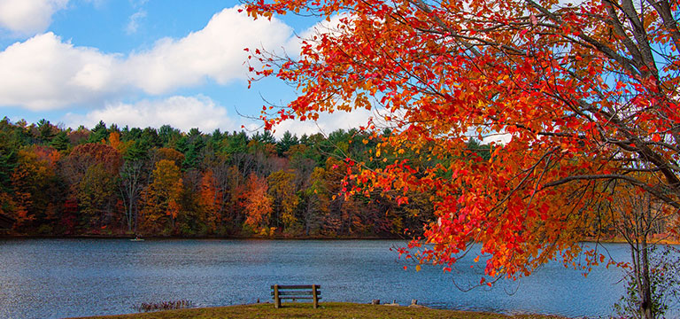 A bench overlooks a lake while the reds and golds of autumn leaves showcase the natural beauty of New England, USA